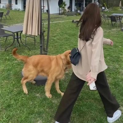 爱,死亡和机器人第四季